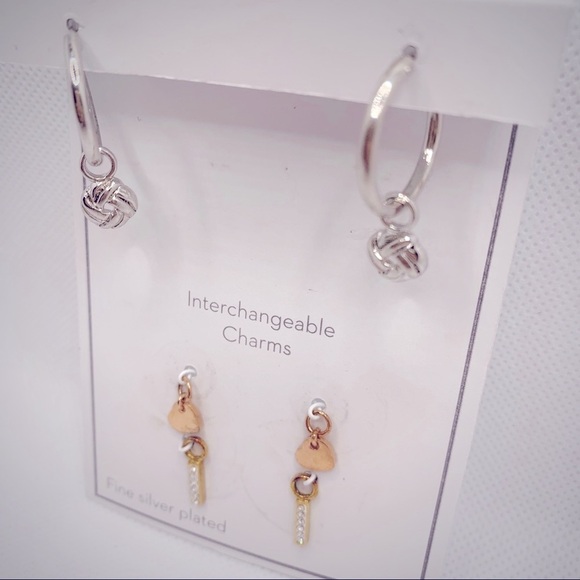 Gold and Silver Interchangeable Earrings Set with Charms - Picture 8 of 8